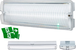 230V IP65 4W LED Emergency Bulkhead Online Hot Sale